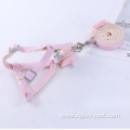 Best Collar and Leash for Puppy